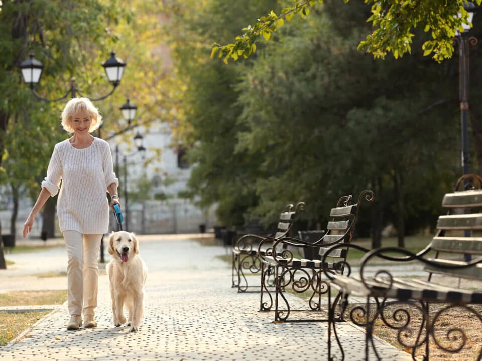 blonde woman, in all white, smiling and walking a golden retriever dog